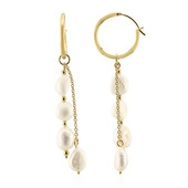 Pendientes en plata con Perla blanca Freshwater (TPC)