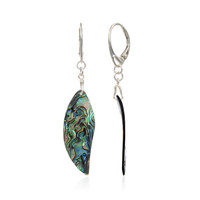 Pendientes en plata con Concha de Abalone