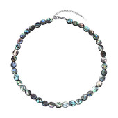 Collar en plata con Concha de Abalone