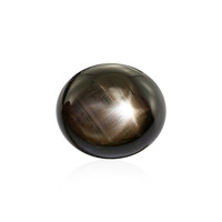 Piedra preciosa con Zafiro estrella negra 21,717 ct