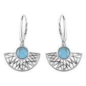 Pendientes en plata con Turquesa (dagen)