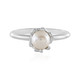 Anillo en plata con Perla beige Freshwater