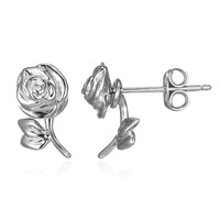 Pendientes en plata