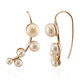 Pendientes en plata con Perla durazno Freshwater (TPC)