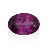 Piedra preciosa con Granate Magenta 0,884 ct