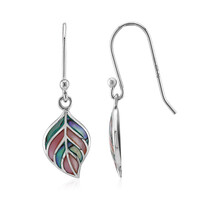 Pendientes en plata con Concha de Abalone