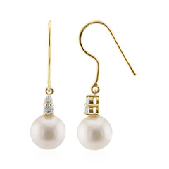 Pendientes en oro con Perla blanca Freshwater (TPC)