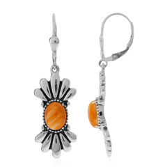 Pendientes en plata con Ostra espinosa naranja (Desert Chic)