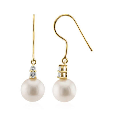 Pendientes en oro con Perla blanca Freshwater (TPC)