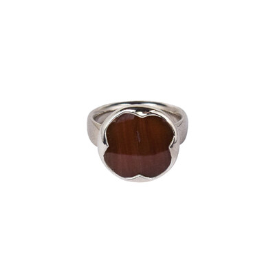 Anillo en plata con Madera de palma petrificada