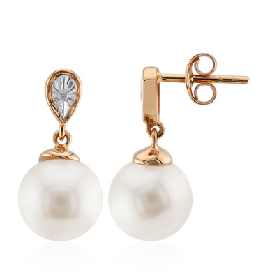 Pendientes en oro con Perla blanca Freshwater (TPC)