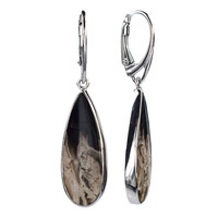 Pendientes en plata con Madera de palma petrificada