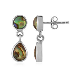 Pendientes en plata con Concha de Abalone