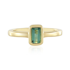 Anillo en plata con Turmalina verde Benedito(Adela Silber)