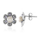 Pendientes en plata con Perla blanca Freshwater