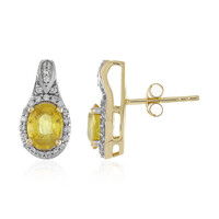 Pendientes en oro con Zafiro amarillo (Adela Gold)