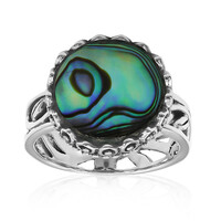 Anillo en plata con Concha de Abalone (Art of Nature)