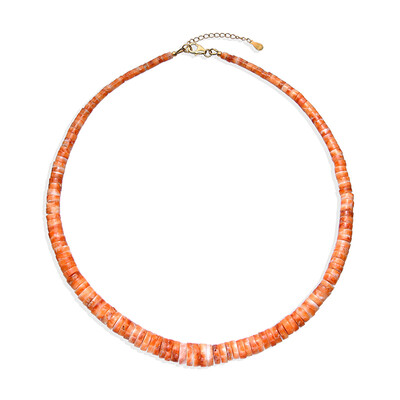 Collar en plata con Ostra espinosa naranja