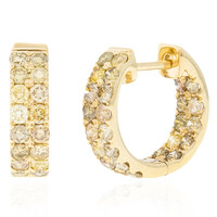 Pendientes en oro con Diamante fancy SI2 (CIRARI)