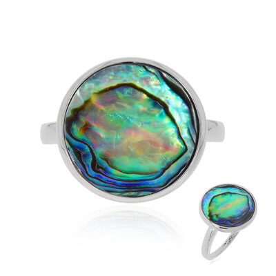 Anillo en plata con Concha de Abalone