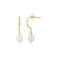 Pendientes en plata con Perla Freshwater