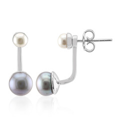 Pendientes en plata con Perla plateada Freshwater (TPC)