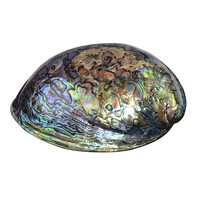 Accesorio con Concha de Abalone