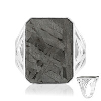 Anillo en plata con Meteorito Aletai