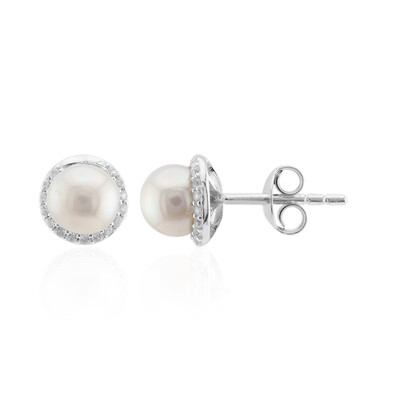 Pendientes en plata con Perla blanca Freshwater