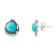 Pendientes en plata con Turquesa (Desert Chic)