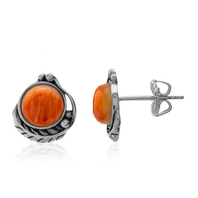 Pendientes en plata con Ostra espinosa naranja (Desert Chic)