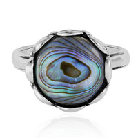 Anillo en plata con Concha de Abalone (Art of Nature)