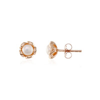 Pendientes en plata con Perla Freshwater