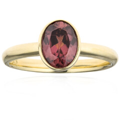 Anillo en oro con Zircón rojo (CUSTODANA)