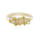 Anillo en oro con Granate imperial  (Adela Gold)