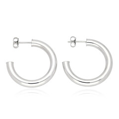 Pendientes en plata