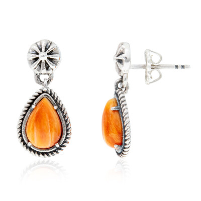 Pendientes en plata con Ostra espinosa naranja (Desert Chic)