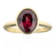 Anillo en oro con Zircón rojo (CUSTODANA)