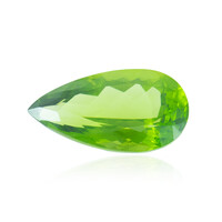 Peridoto de Birmania 15,69 ct