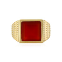 Anillo en plata con Ónix rojo