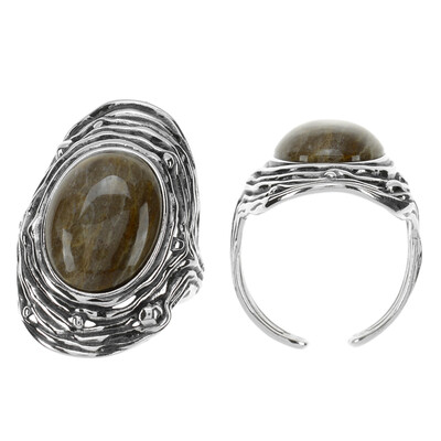 Anillo en plata con Madera de palma petrificada (dagen)