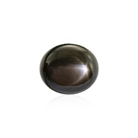 Piedra preciosa con Zafiro estrella negra 13,32 ct