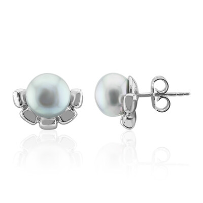 Pendientes en plata con Perla plateada Freshwater (TPC)