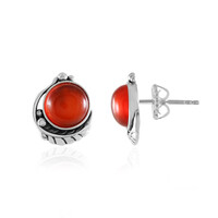 Pendientes en plata con Ónix rojo (Desert Chic)