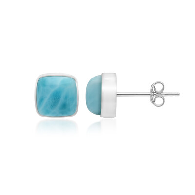 Pendientes en plata con Larimar