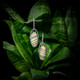 Pendientes en plata con Jaspe zebra (Bali Barong)