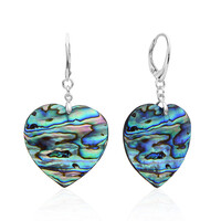 Pendientes en plata con Concha de Abalone