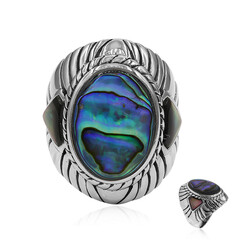 Anillo en plata con Concha de Abalone (Art of Nature)