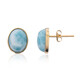 Pendientes en oro con Larimar