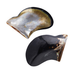 Accesorio con Concha de Abalone (Bali Barong)